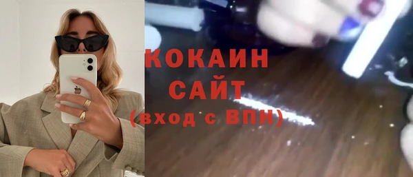 apvp Алзамай