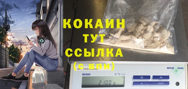 apvp Алзамай