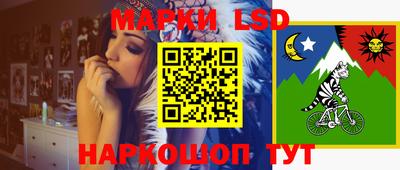 мдма Камышлов