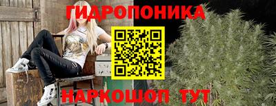 мдма Камышлов
