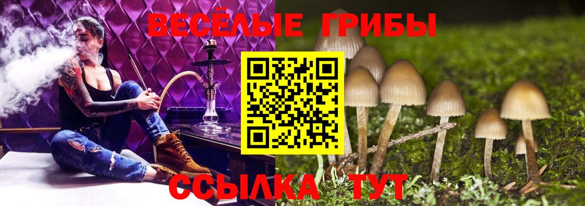 Троицк  Галлюциногенные грибы Psilocybine cubensis  Вход с VPN 
